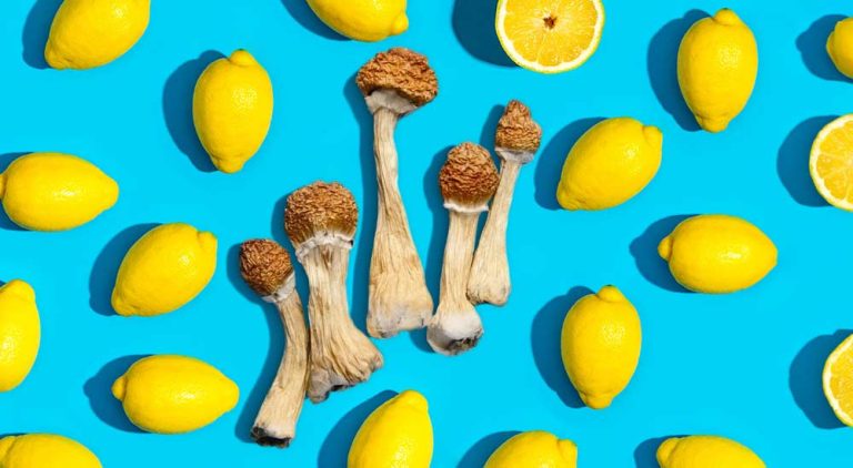 What is Lemon Tek for Magic Mushrooms? Unlocking the Potential of Your Psychedelic Experience